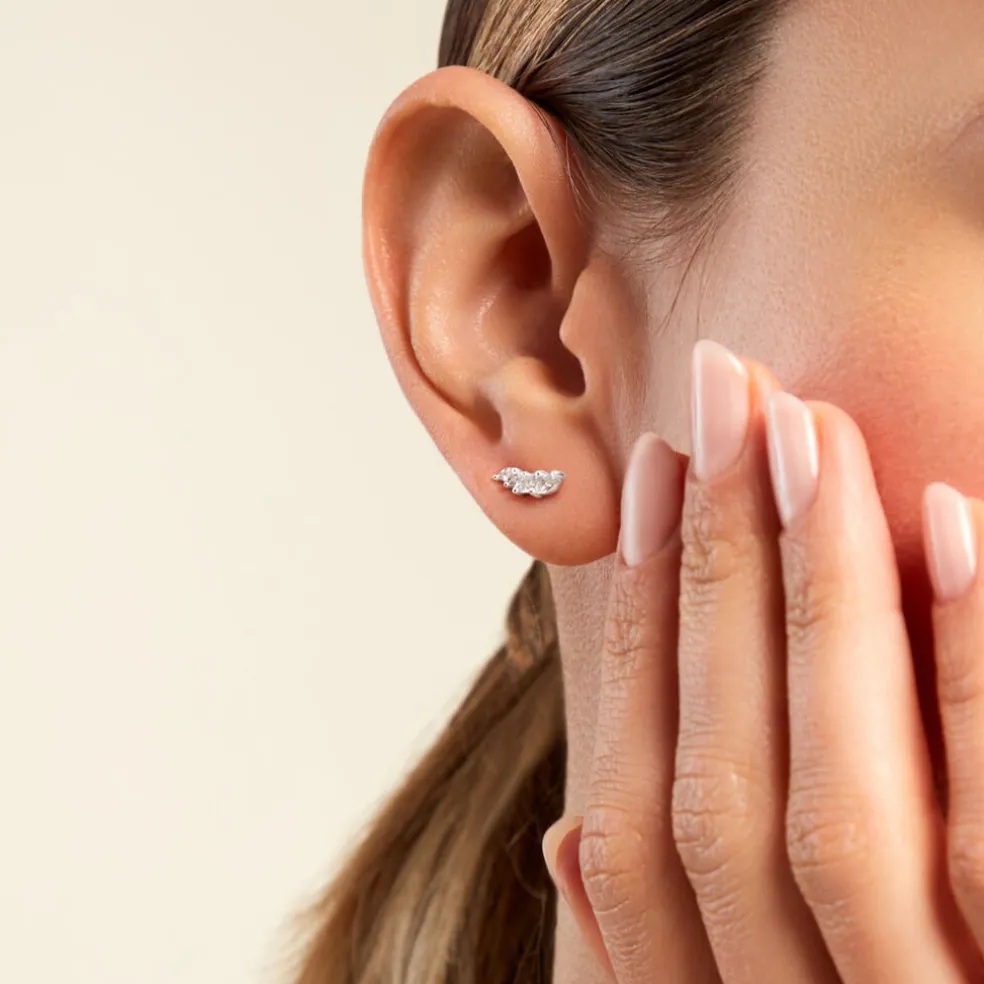 Bijoux D'oreilles Juanie Argent Blanc Oxyde De Zirconium