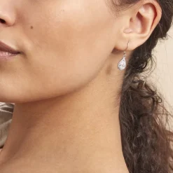 Boucles D'oreilles Pendantes Perce-neige Argent  Oxyde De Zirconium