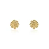 Boucles D'oreilles Puces Dyonis Acier Jaune