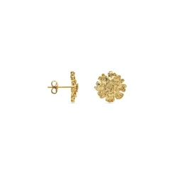 Boucles D'oreilles Puces Dyonis Acier Jaune