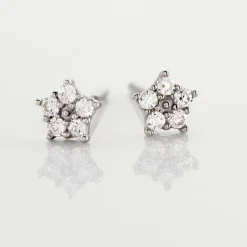 Boucles D'oreilles Puces Elais Etoile Or Blanc Oxyde De Zirconium
