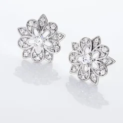 Boucles D'oreilles Puces Iona Argent Blanc Oxyde De Zirconium