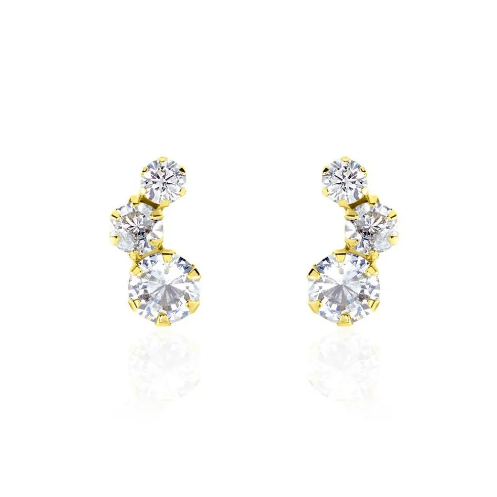 Boucles D'oreilles Puces Or Jaune Albizia Oxydes De Zirconium