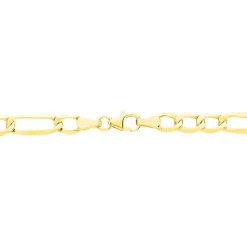 Chaîne Cameo Maille Alternee 1/3 Or Jaune