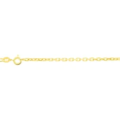 Chaîne Igoa Maille Forçat Diamantee Or Jaune