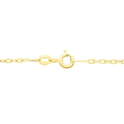 Chaîne Igoa Maille Forçat Diamantee Or Jaune