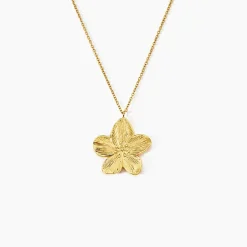 Collier Barbade Acier Jaune