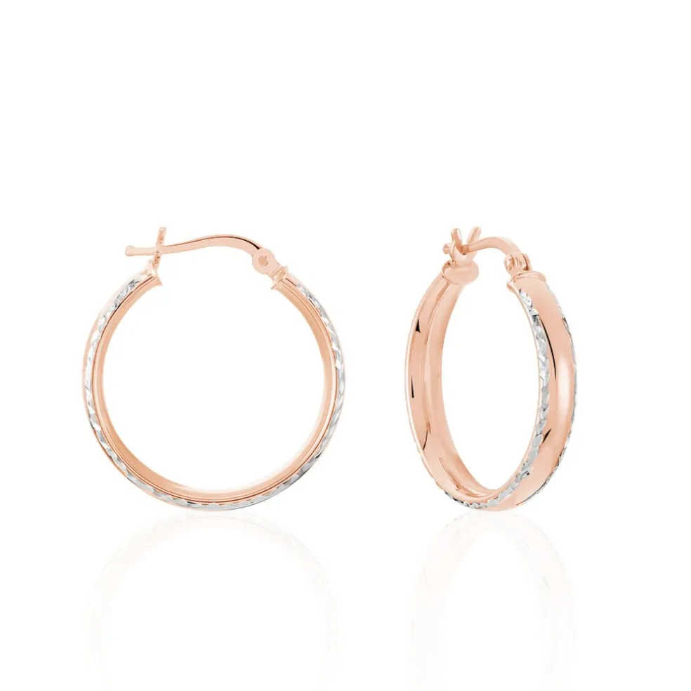 Créoles Argent Rose Ava