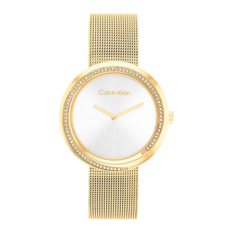 Montre Calvin Klein Twist Argenté