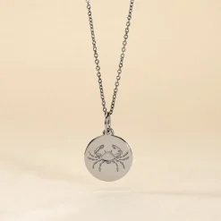 Pendentif Zodiaque Rond Argent Blanc